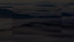 Введение компании